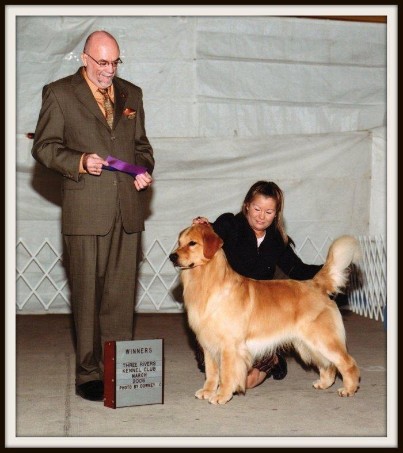 Sonshine Golden Retrievers, Wakarusa, Indiana